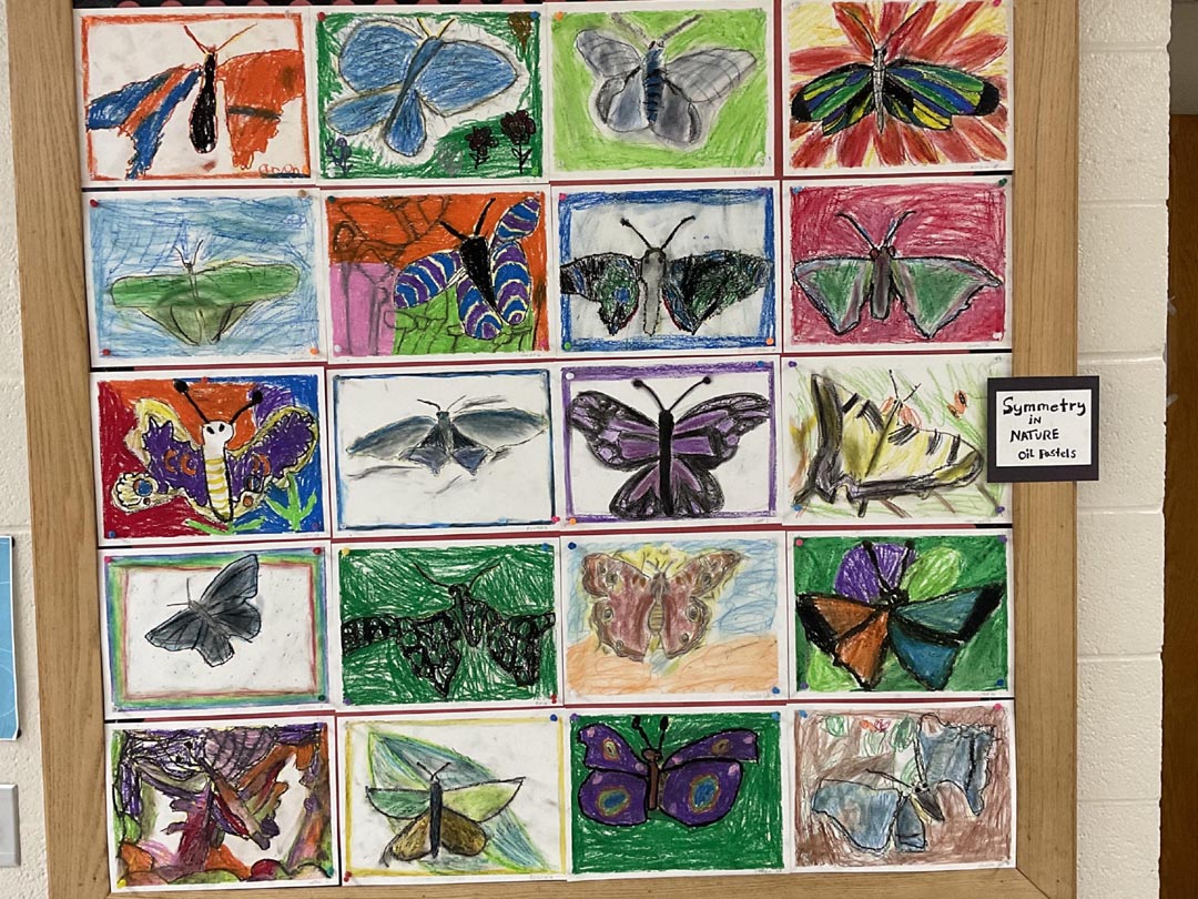 Learning Symmetry in Nature (oil pastels)